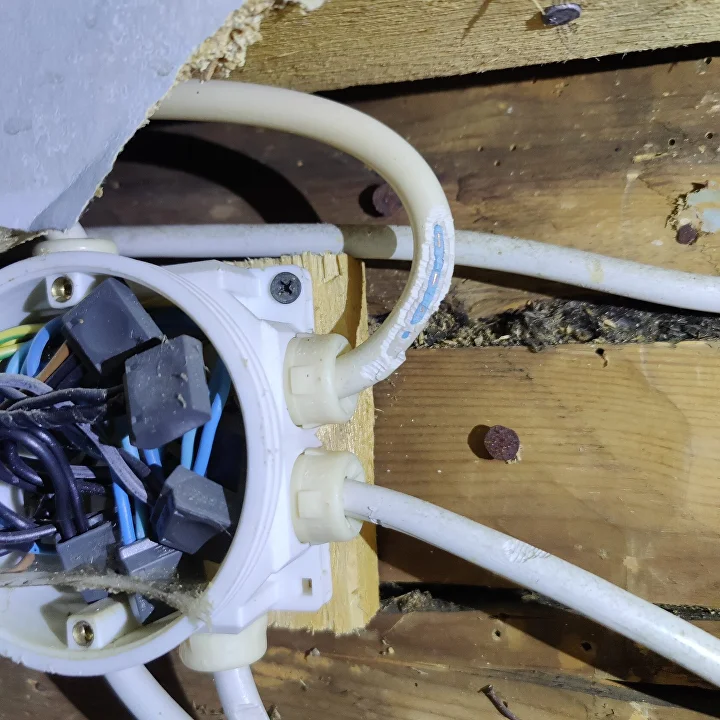 Tuholaistorjunta kohde